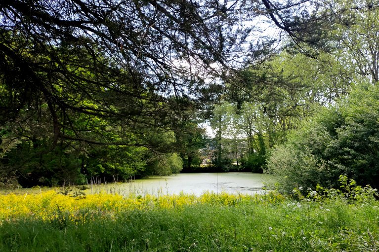 Etang du château de La Rabatelière