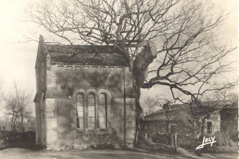 La Chapelle du Chêne (carte postale)