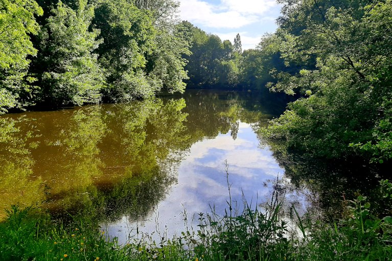 Etang de La Rabatelière